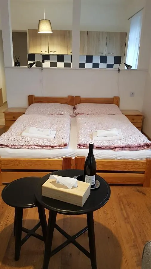 Guest house Pension Family Karlovy Vary