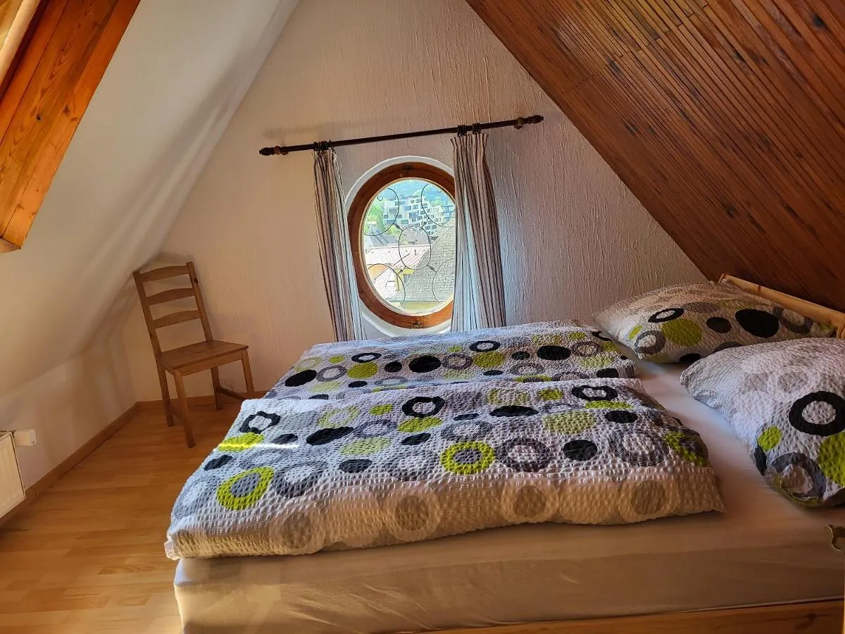 Pension Family Karlovy Vary 0*,